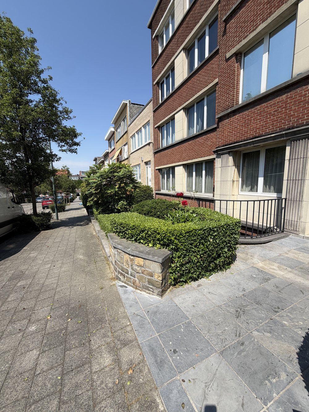 Haie après entretien